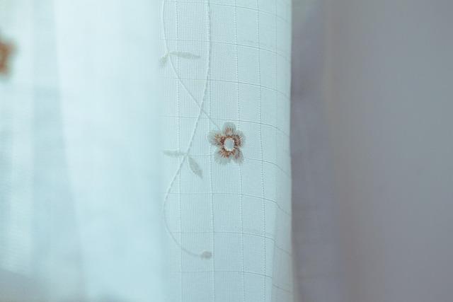 Free Curtain Delicate photo and picture