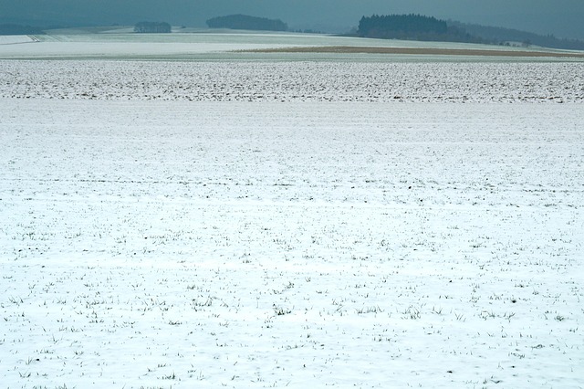 Free Field Snow photo and picture