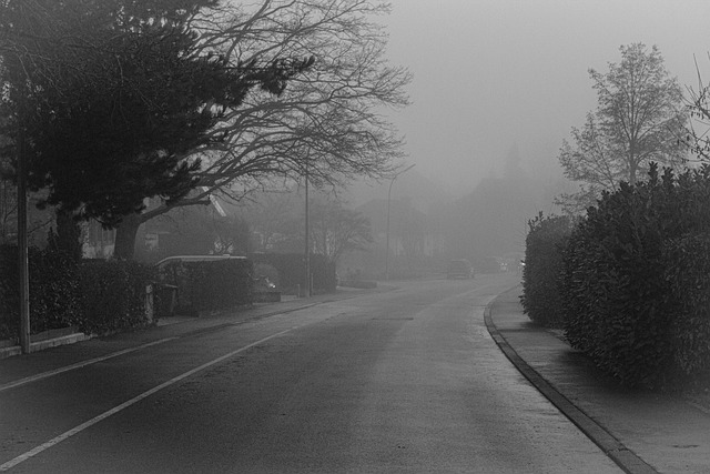 Free Street Road photo and picture