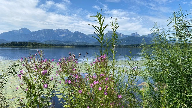 Free Mountains Alps photo and picture