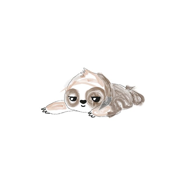 Free sloth animal mammal illustration