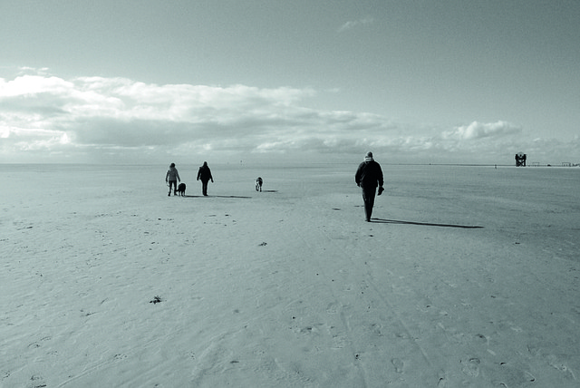 Free Beach Sand photo and picture