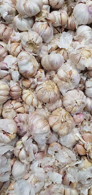 Free Garlic Vegetables photo and picture
