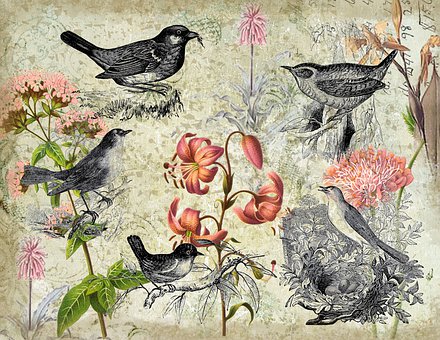 Scrapbog, Fugle, Blomster, Botanisk