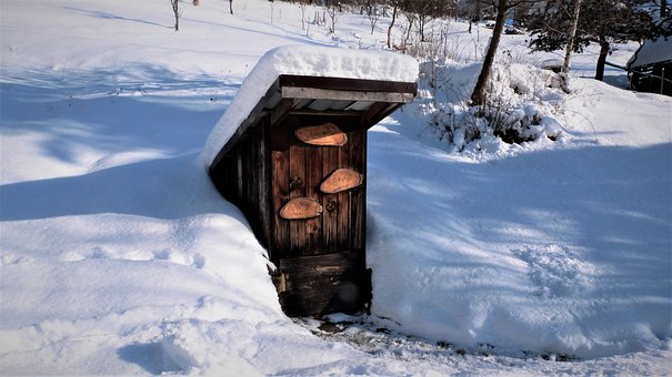 Free Snow Winter photo and picture