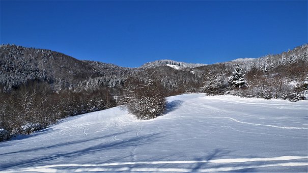 Free Winter Snow photo and picture
