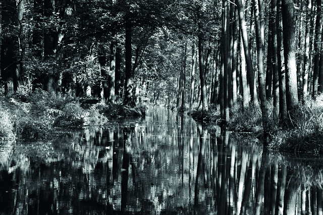 Free Water Nature photo and picture