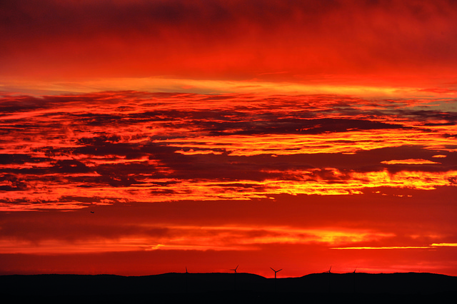 Free Sunrise Mountain photo and picture