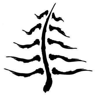 Baum, Pflanze, Zeichnung, Geäst, Natur