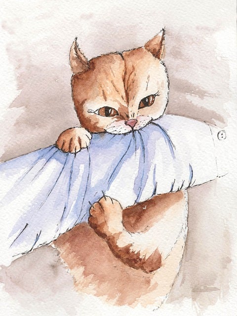 Kat, Natuur, Voor Bedtijd, Huis Huisdier