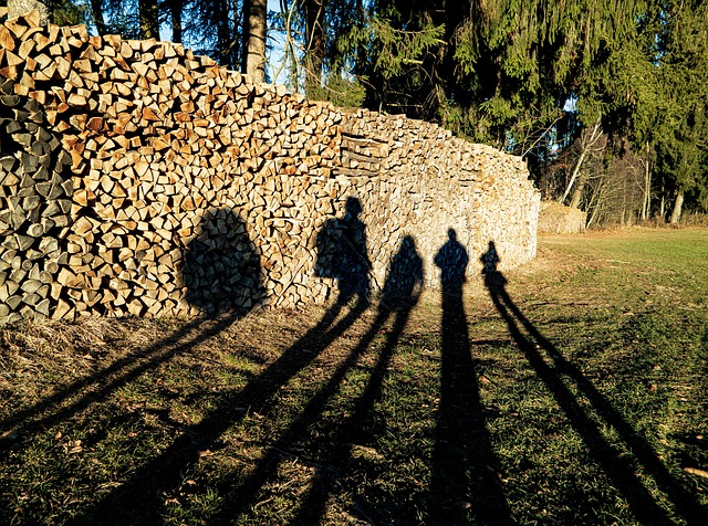 Free The Shade Wood photo and picture