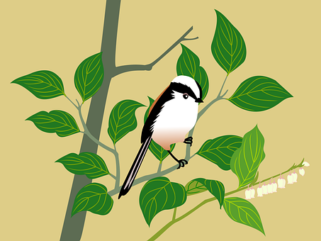 Free Bird Nature vector and picture