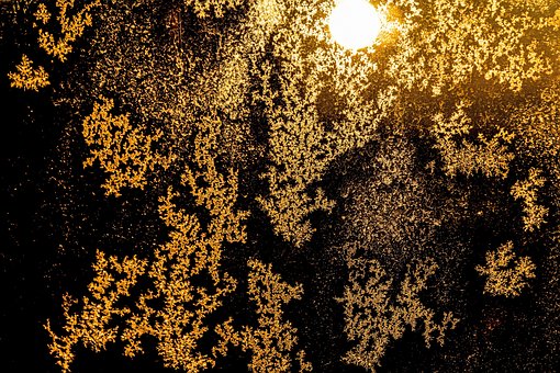 Iskrystaller, Solnedgang, Natur, Vinter