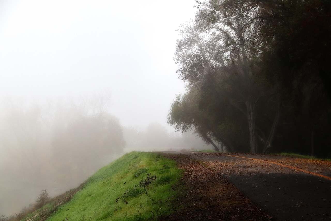 Fog Nature Outdoors - Free photo on Pixabay - Pixabay