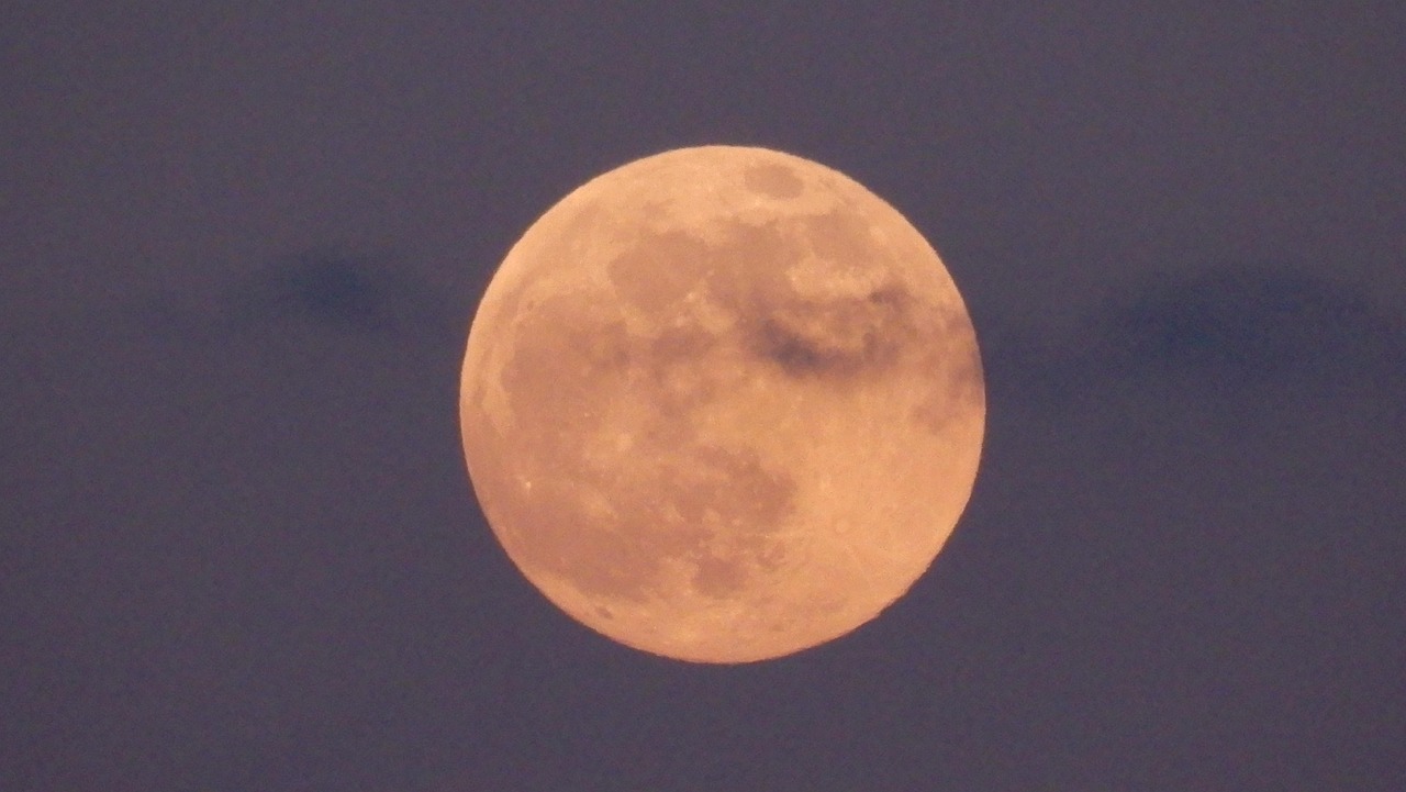 Rose Lune Ciel Des - Photo gratuite sur Pixabay - Pixabay