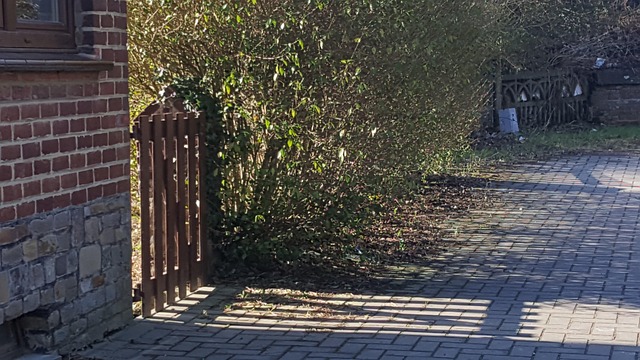 Zaun, Fechten, Schatten