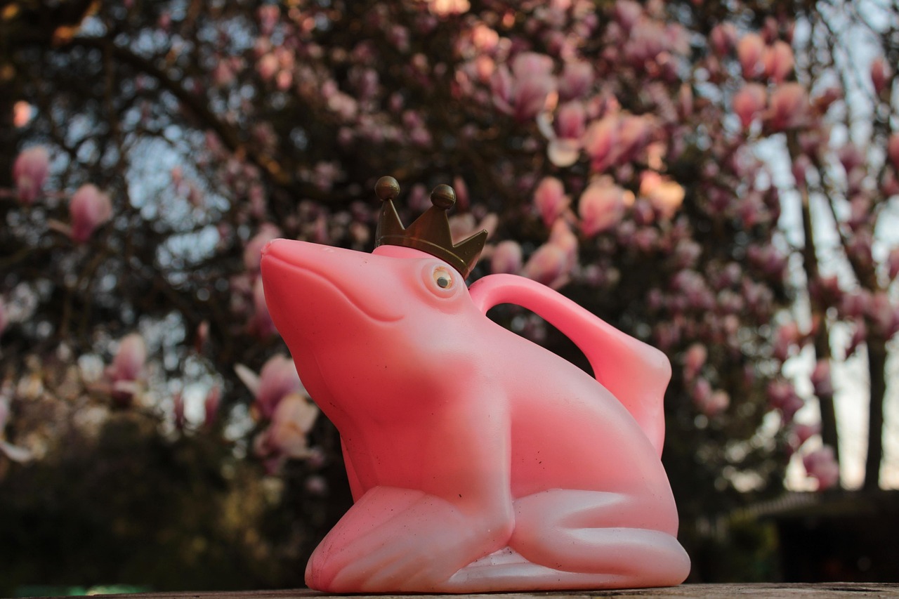 Prince De La Princesse Et La Grenouille