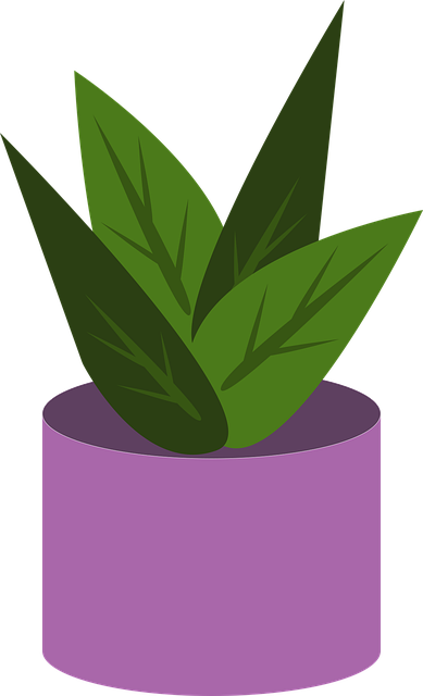 Free plant pot botany vector