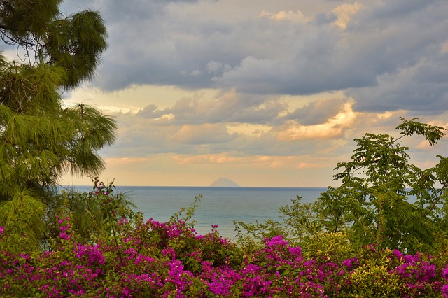 Kiefer, Meer, Insel, Sommer, Wolken