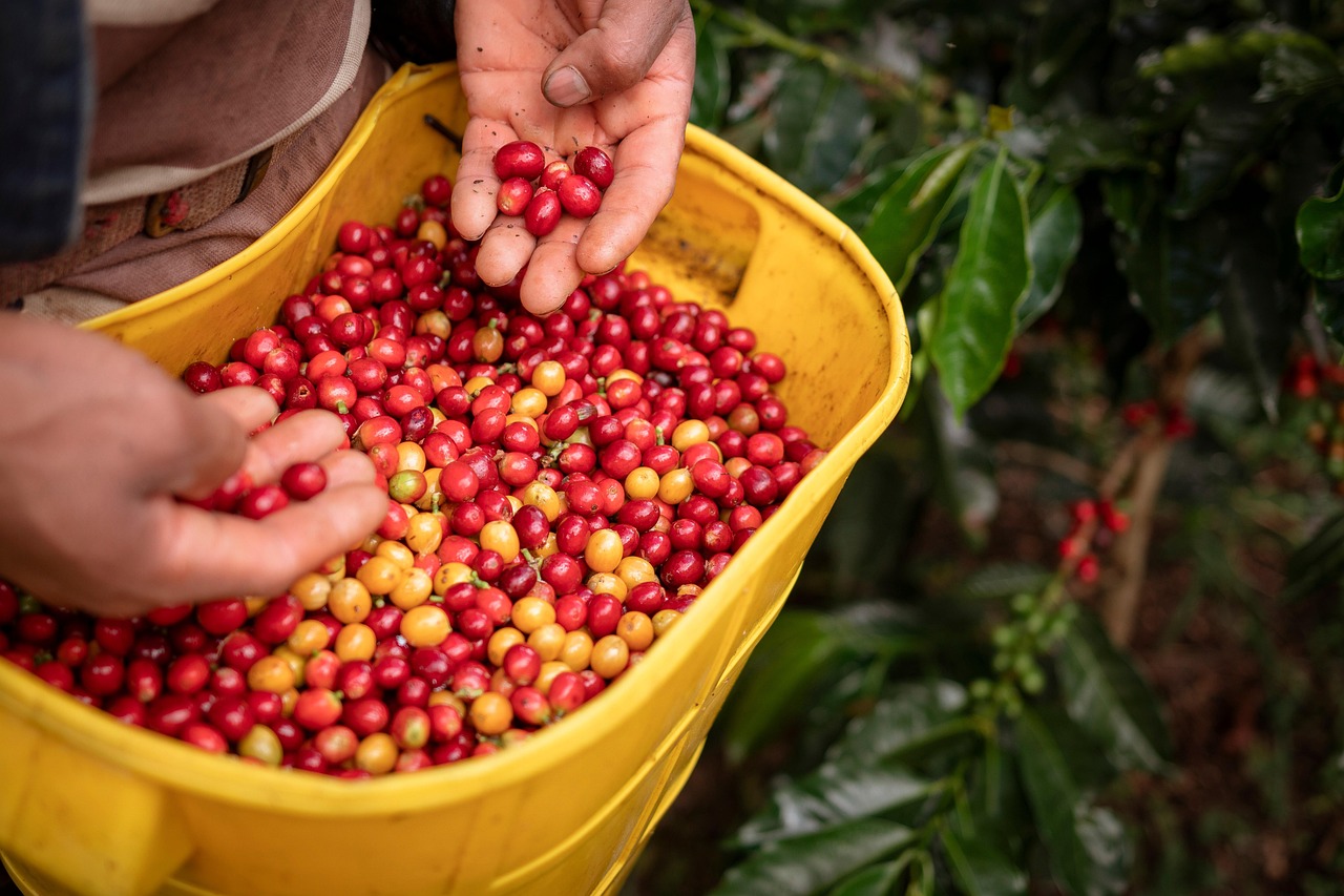 Plus De 9 000 Photos Gratuites De Colombie Et De La Colombie Pixabay