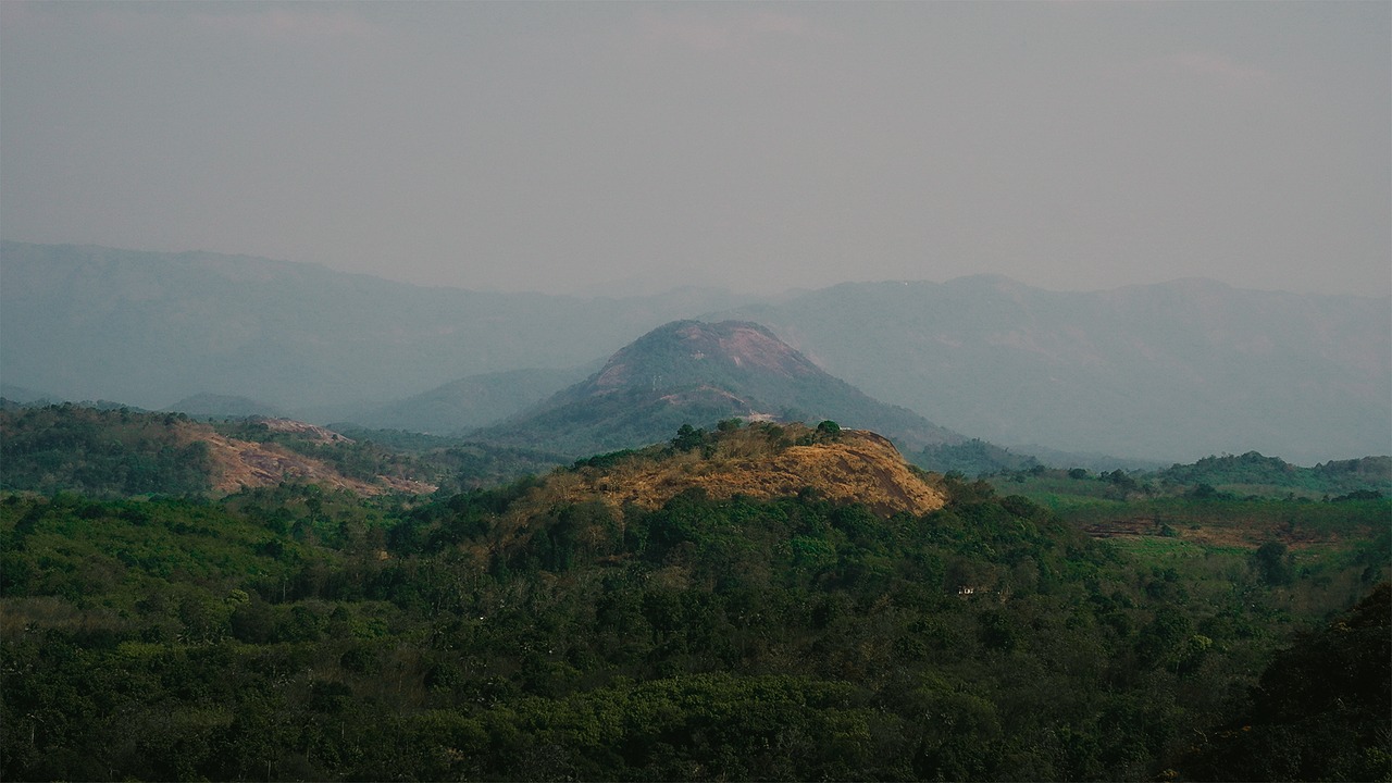5 night kerala honeymoon trip