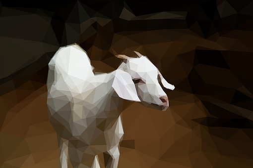 4 多张免费的“Young Goat”和“山羊”矢量图 - Pixabay
