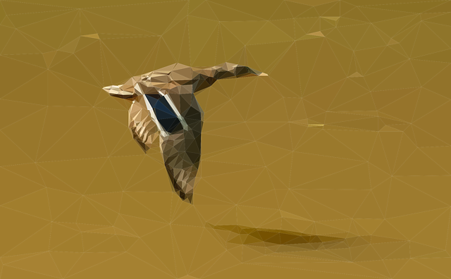 Free Flying Bird Mallard vector and picture