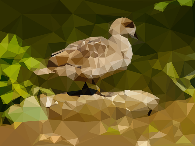 Free Bird Duck vector and picture