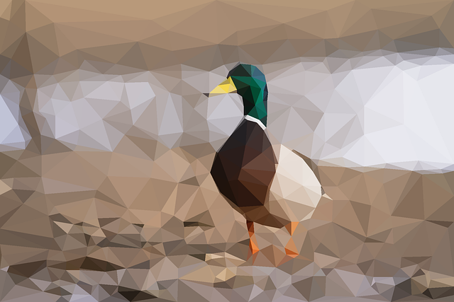 Free Bird Duck vector and picture