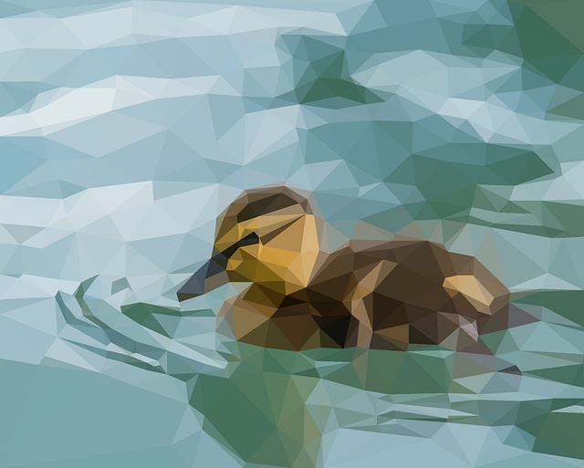 Download free HD stock image of Duckling Nature Free duckling nature duck illustration