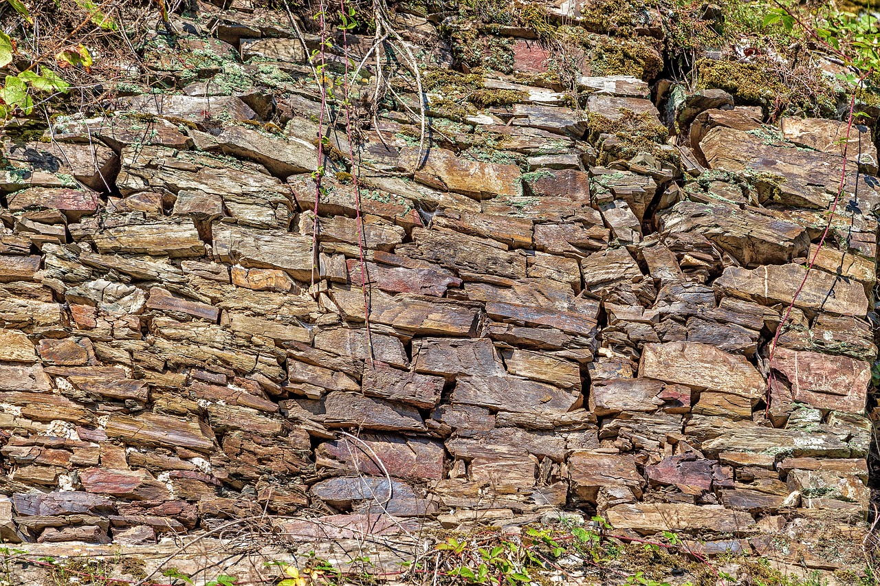 Wall - free online jigsaw puzzle photo