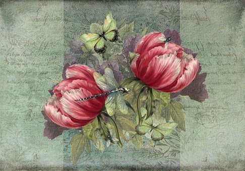 Flores, Clásico, Bloom, Florecer, Dibujo