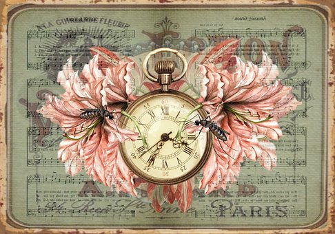 Tiempo, Clásico, Flor, Reloj