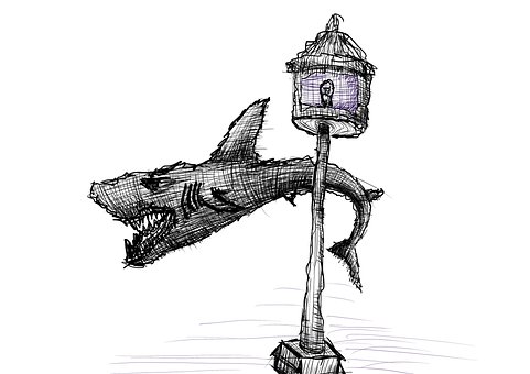 Free Shark Background photo and picture