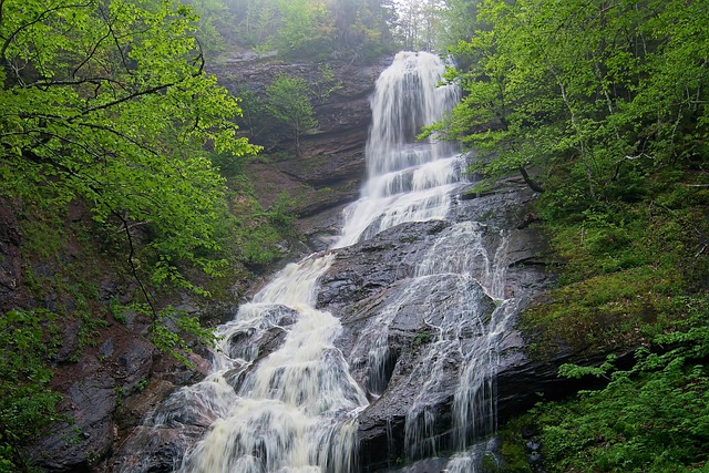 Free Waterfall Nature photo and picture