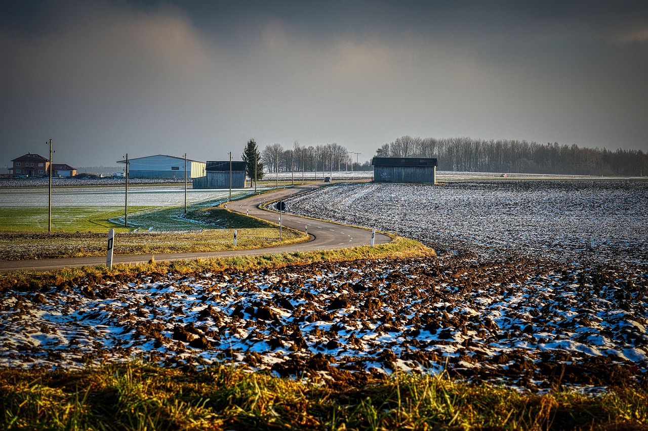 Fields - free online jigsaw puzzle photo