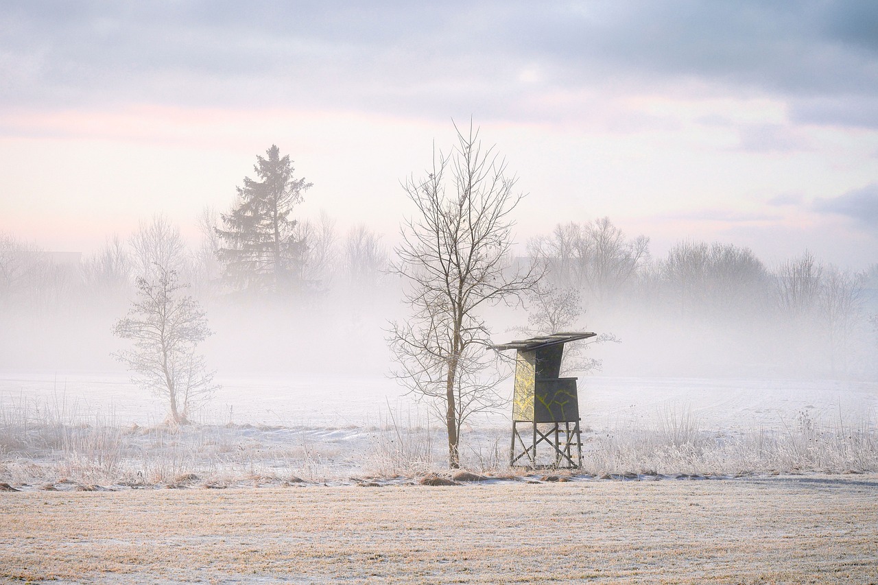 Hunter Stand - free online jigsaw puzzle photo