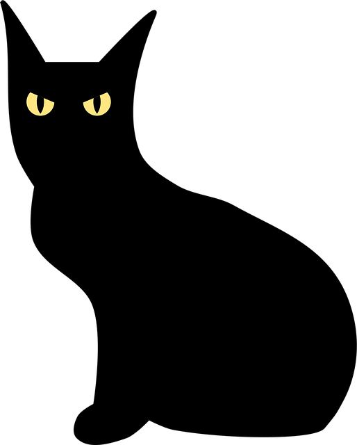 Dyr, Kat, Overtroisk, Feline, Skåret Ud