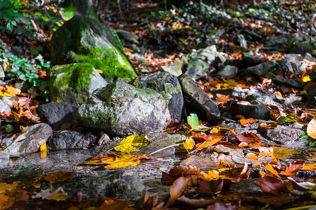 Free Nature Stones photo and picture