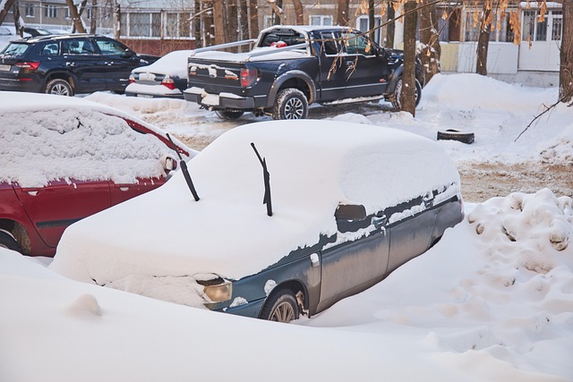 Free Snow Snowdrift photo and picture