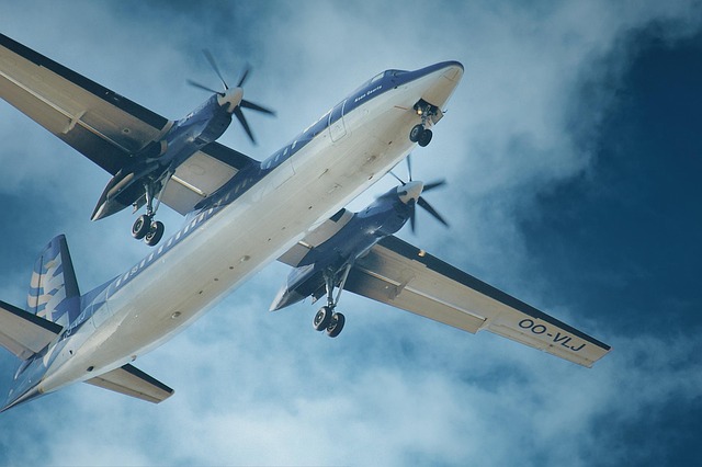 Fly, Luftfart, Flyvningen