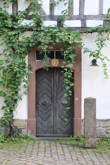 Free Door Maulbronn photo and picture