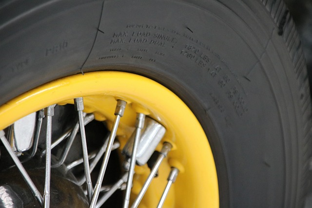 Free Automobile Tire photo and picture