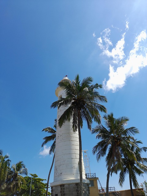 Luz, Casa, Faro, Mar, Oceano, Coco