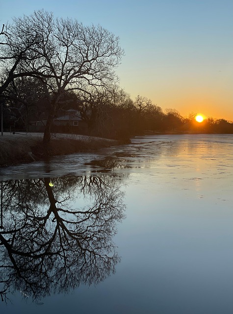 Træer, Flod, Solnedgang, Vinter, Frost