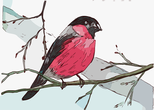 Free bird ornithology species vector