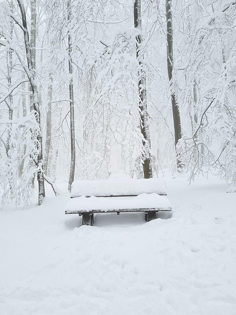 Free Snow Winter photo and picture