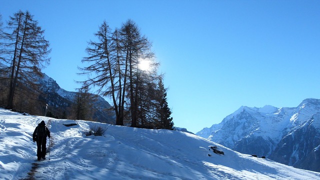 Free Switzerland Valais photo and picture
