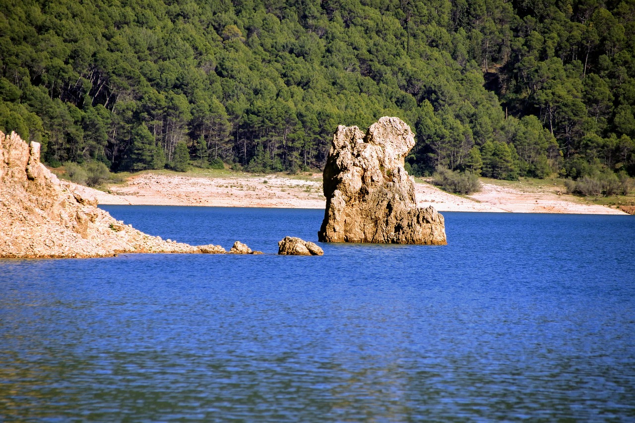 Marsh Cazorla - Foto gratuita no Pixabay - Pixabay