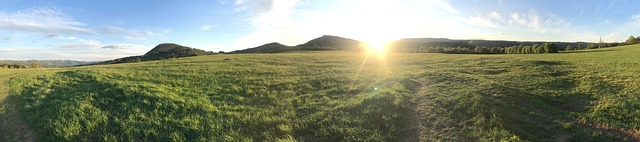 Free Meadow Nature photo and picture